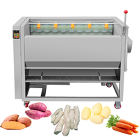 Industriële groentewasmachine Aardappelwas- en schilmachine 1000kg/u Rolborstelschillerwasser voor wortelgroenten