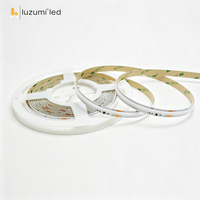 Bande lumineuse LED COB adressable, contrôle par application WiFi, DC12V 24V, éclairage flexible intelligent pour la décoration paysagère