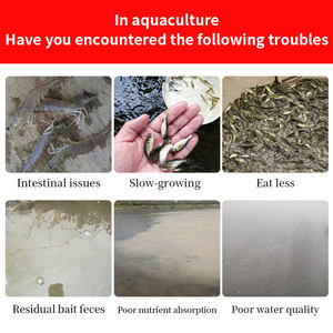 Bagre Tilapia Promotor del crecimiento Vitaminas de grado alimenticio Aminoácidos Aumenta el apetito Come más Crece más rápido Aumenta las ganancias agrícolas - Product Image 3