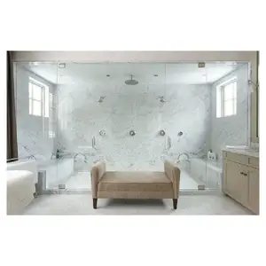 Ace Capacity Bathroom Whirlpool Shower Steam Room 2024 Luxury Steam Shower Room With Television L Tube