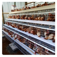Vente chaude Cage à poules pondeuses d'occasion pour élevage avicole
