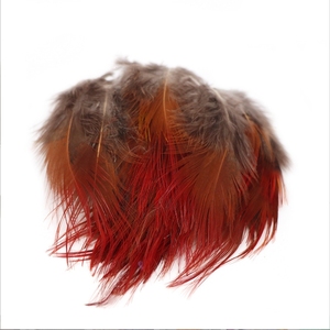 Plume de <span class=keywords><strong>faisan</strong></span> doré rouge de 4 à 8 cm pour les modèles de mouches sèches, nymphes et streamers, pour la pêche à la mouche en truite en ruisseau, lac, eau faiblement lumineuse et boueuse - Product Image 2