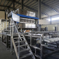 Machine de production de barquettes à œufs en pâte à papier entièrement automatique de pointe pour une ligne de formage efficace du papier usagé en carton