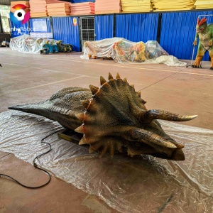 Dinosaur Park Realista Animatronic Tamaño real Sueño Triceratops Escultura Estatua Dinosaurio Modelo Dinosaurio <span class=keywords><strong>Robot</strong></span> para la venta - Product Image 5