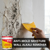 Pâte de réparation murale résistante aux alcalis, anti-efflorescence, revêtement hydrofuge pour la réparation des murs domestiques – Vente en gros directe usine