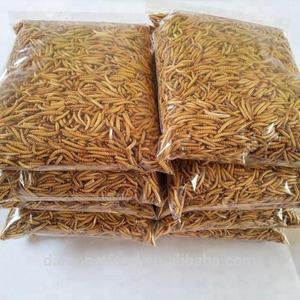 Akvaryum balıkları için süs balığı yem sucul böcek Mealworms kurutulmuş hayvan yemi - Product Image 3