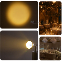 Lot de 20 projecteurs LED Pinspot 10W avec zoom, magnétiques, sans fil DMX, blanc froid et blanc chaud, pour DJ et éclairage de mariage
