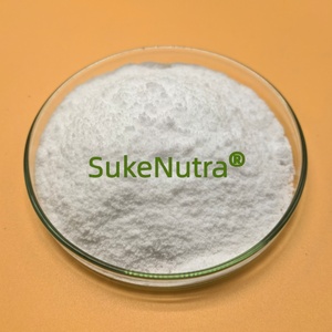 Poudre <span class=keywords><strong>Probiotique</strong></span> AKK Akkermansia Muciniphila |   Réparation de la barrière intestinale, gestion du poids, complément alimentaire pour la santé métabolique - Product Image 1