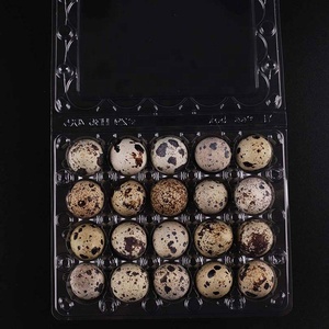 [Non vendita di uova] vassoio di plastica <span class=keywords><strong>20</strong></span> uova di quaglia per uova normali di Cordoniz - Product Image 3