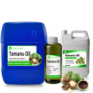 Tamanu-Öl Fabrik Kaltgepresstes Trägeröl Bio <span class=keywords><strong>Tahiti</strong></span> Grünes Tamanu-Samenöl für Hautpflege - Product Image 2