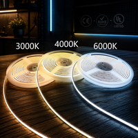 Bande LED flexible en silicone SMD2835 en gros d'usine avec télécommande pour éclairage paysager DC24V 3000K-6000K IP67 étanche