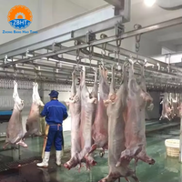 Équipement complet de décapage d'abattoirs multi-halal pour les moutons, les chèvres, les agneaux et les abattoirs.