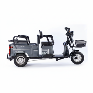 Electric Tricycle 300-8 Tubeless Tire Rim 12-Tube Single Speed 48V Intelligent Controller Three-Wheel Motorized Mobility Scooter - Product Image 1