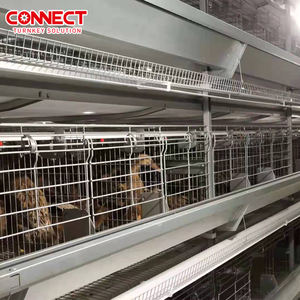 Büyüyen pil yetiştirme için tavuk <span class=keywords><strong>Coop</strong></span> kümes hayvancılığı için komple otomatik hayvancılık hayvan kafes sistemi katmanlı tavuklar yeni - Product Image 3