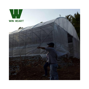 Serre à simple travée à contrôle climatique pour tomates et concombres - Product Image 2