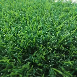 Meisen Best Selling Artificial Grass for Home Garden landscapes Swimming Pool Ground 25mm 21000density Natural Grass Carpets