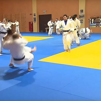Tapis de judo certifié IIF, couleur rouge, haute densité, éponge souple, vinyle imperméable, léger, protection pour grappling et MMA