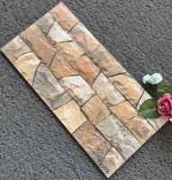Qualité supérieure Finition mate Résistant aux produits chimiques Carreaux muraux extérieurs Conception de l'avant de la maison Carreaux d'élévation Mur extérieur en céramique