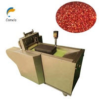 Droge Mango Atchar Fruitpaddenstoelen Snijmachine Hakselsnijmachine