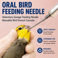 Aiguille d'alimentation pour oiseaux WANJIA, en acier inoxydable, canule vétérinaire pour l'alimentation des perroquets et des canaris, Aguja De Alimentacion Para Aves