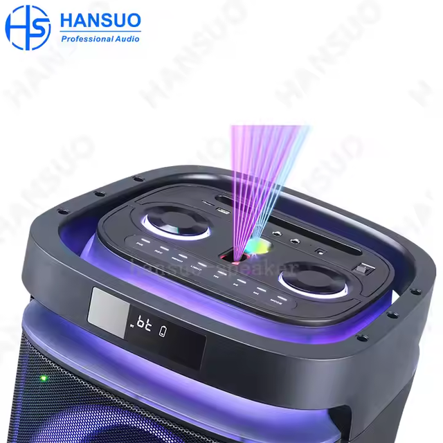 OEM/ODM Professional DJ Sound System Dual 6.5 Inch Portable Karaoke Speakers Wireless USB Communication Battery Wood Plastic
