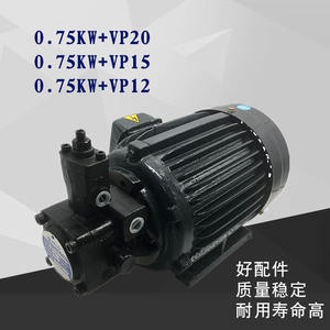 Combinaciones de Motores de Bomba de Aceite Hidráulica de 0.75KW a 5.5KW con Bombas VP20 y VP30, Bombas Hidráulicas - Product Image 4