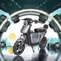 Moto électrique pour adultes à prix bas, directement de l'usine, 1200W, haute vitesse, longue portée, garantie 3 ans, OEM SKD, vente en gros