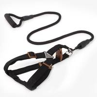 Laisse pour chien en nylon simple, durable et confortable de 120 cm, personnalisable en gros, pour la promenade des petits chiens