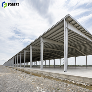 Centro de Almacenamiento de Acero Estructural de Ingeniería Personalizada, Instalación de Depósito de Carga Automatizada de Gran Altura - Product Image 1