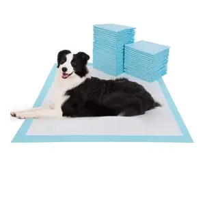 Hot Selling Casoft Durable Puppy Pad Auslaufs icher Absorbent Dog Training Reinigungs unterlage mit Aufklebern Frankreich Singapur