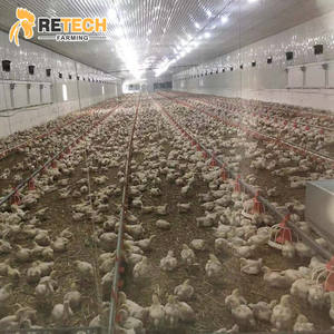 Ticari kanatlı ekipmanları zemin yetiştiriciliği sistemi için Broiler tavuk ev - Product Image 2