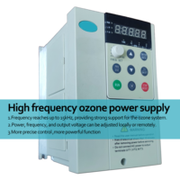 Refroidisseur d'eau plongeant froid et module de générateur d'ozone 100g générateur d'ozone pièces de rechange générateur d'ozone pour le traitement de l'eau