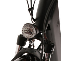 Vélo électrique de ville TXED Premium 700x38C avec cadre en alliage, freins à disque hydrauliques, 5 vitesses, moteur central sans balais 36V/250W