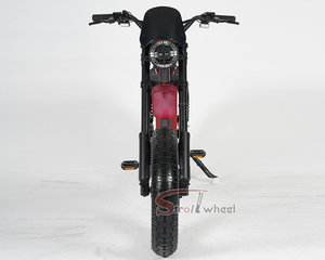 Vélo de montagne pliable à prix d'usine pour hommes, vélo de descente à disques FT-02, cycle pour homme/vélo à vitesses FT-02 - Product Image 5