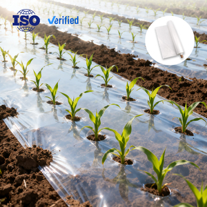 Film <span class=keywords><strong>de</strong></span> paillage plastique transparent résistant aux UV pour la rétention <span class=keywords><strong>de</strong></span> la chaleur et <span class=keywords><strong>de</strong></span> l'humidité dans les jardins et les fermes - Product Image 1
