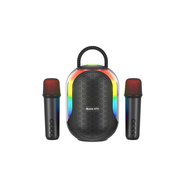Portable Bluetooth Karaoke Speaker with 2 Wireless Mics Dual 57mm Drivers & Colorful Lights, Voice Changer & Vocal Remover