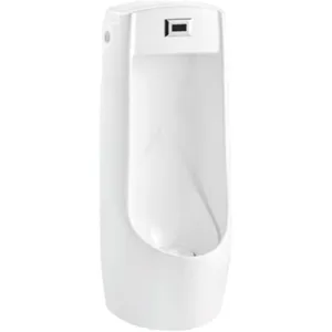 Urinoir WC Urinarios en céramique Urinoir mural Cuvette de toilette pour homme