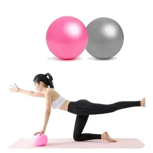 Eko istikrar denge egzersiz 20cm 25cm pembe mor koyu mavi siyah çekirdek pvc özel logo ile pilates küçük top