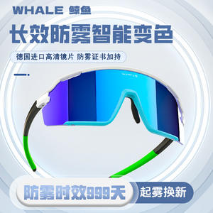 Lunettes de cyclisme polarisées Whale R4, lunettes de sport d'extérieur coupe-vent, lunettes de protection unisexes pour la course à pied et le cyclisme - Product Image 5