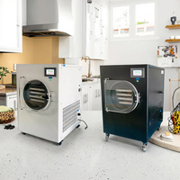 Europa Beste Kwaliteit Beste Kwaliteit China Fabrikant Machine Bijenmelk 20Kg 45Kg Kleine Vriesdroger Machine Voor Voedsel Snoep