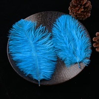 Plumes d'autruche roses moelleuses de haute qualité de 15-20 cm (6-8 pouces) pour décorations de fête, motif teinté