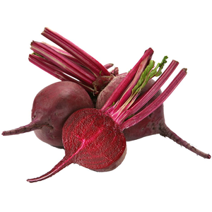 Chicorée Rouge Foncé de Detroit pour l'Agriculture Moderne – Qualité Supérieure des Racines, Pureté 99,99%, Germination 85% – Excellent Cultivar Commercial - Product Image 2
