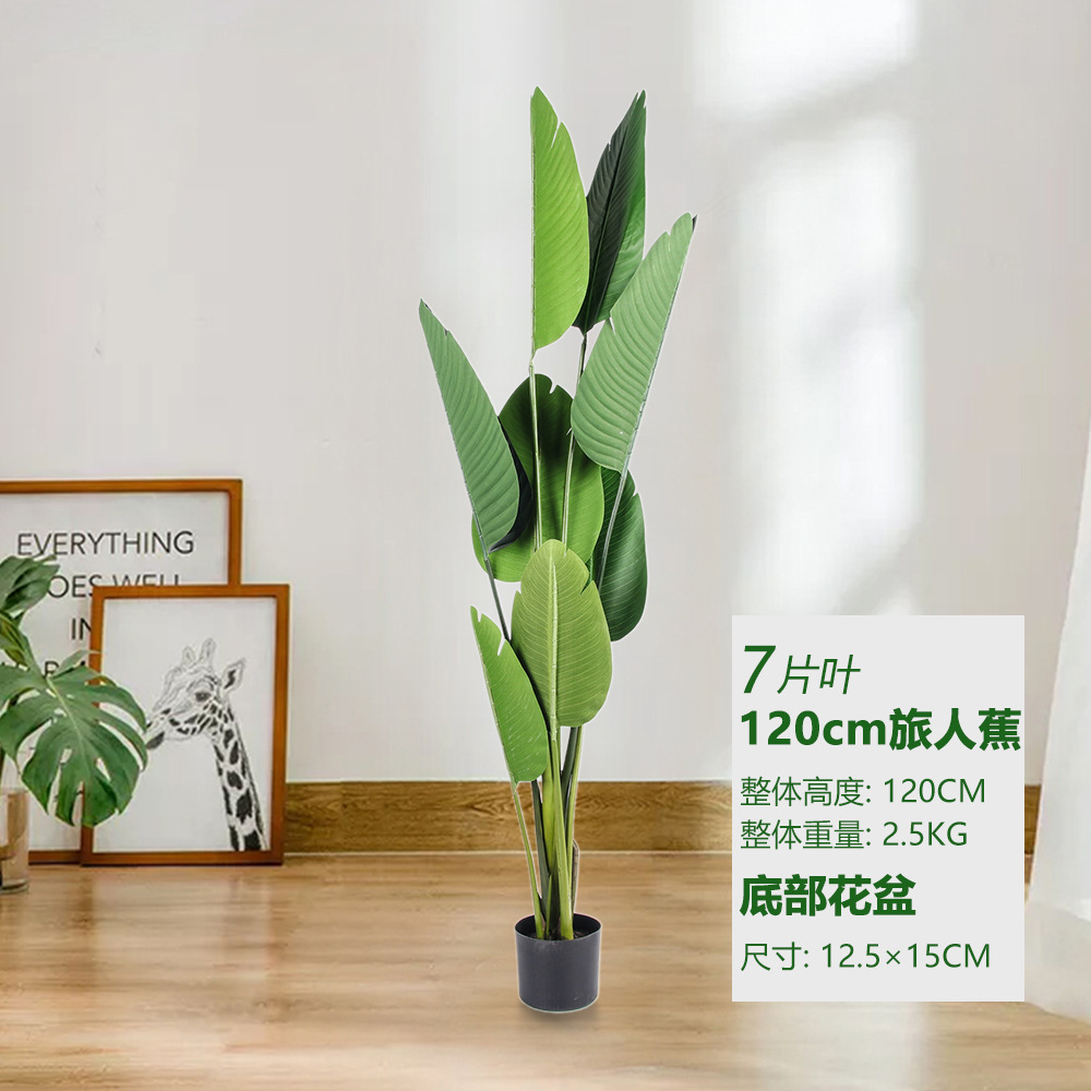 Banane voyageur 120cm