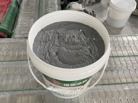 Revêtement ignifuge intumescent à base d'eau pour poutres et colonnes en acier, type fin, application au pinceau, fourniture directe d'usine
