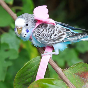 Guinzaglio per imbracatura per piccoli uccelli all'aperto corda per addestramento volante per pappagalli Anti-morso regolabile per Budgie Sun Conure - Product Image 2