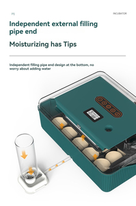 Mini automatique numérique incubateur plateau outils en plastique canard caille plateau équipement <span class=keywords><strong>oeufs</strong></span> <span class=keywords><strong>25</strong></span> oiseau volaille <span class=keywords><strong>oeufs</strong></span> incubateur à couver - Product Image 6