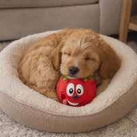Jouet pour chien en latex qui couine, jouet à mâcher en forme de tomate de dessin animé pour petits et moyens chiens