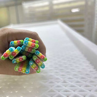 Bâtonnets de bonbons gélifiés acidulés en vrac, bon marché, halal, fruités, à mâcher, en boîte, vente en gros