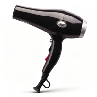 Sèche-cheveux électrique professionnel haute performance et durable 2000-2600W avec moteur AC à température constante pour usage hôtelier et domestique