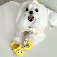 Nouvelles chaussures pour chiens de compagnie respirantes et durables chaussures en maille chaussures de plage chaussures de plein air pour l'exportation pantoufles de chat